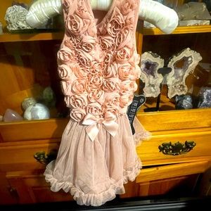 Dog dress size large